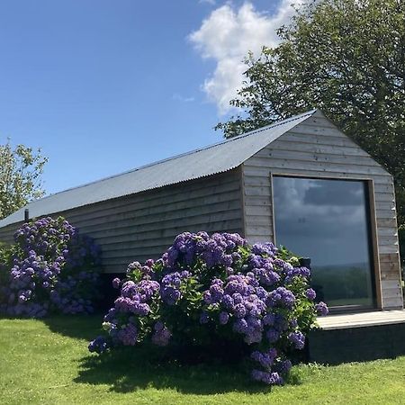 The Cabin At Barnstormers, Luxury Woodland Setting Marldon Exterior photo