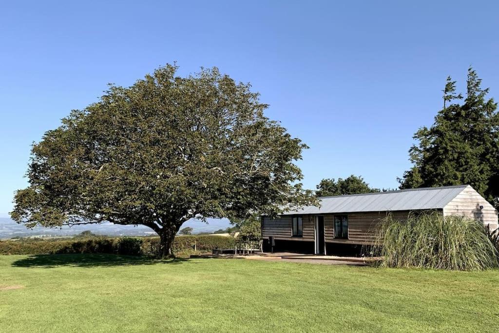 The Cabin At Barnstormers, Luxury Woodland Setting Marldon Exterior photo