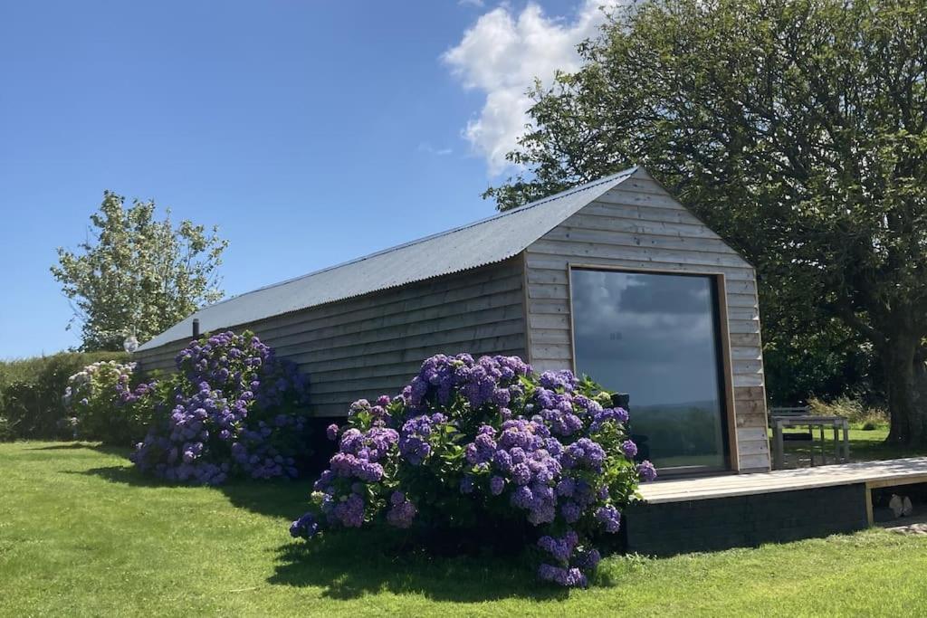 The Cabin At Barnstormers, Luxury Woodland Setting Marldon Exterior photo